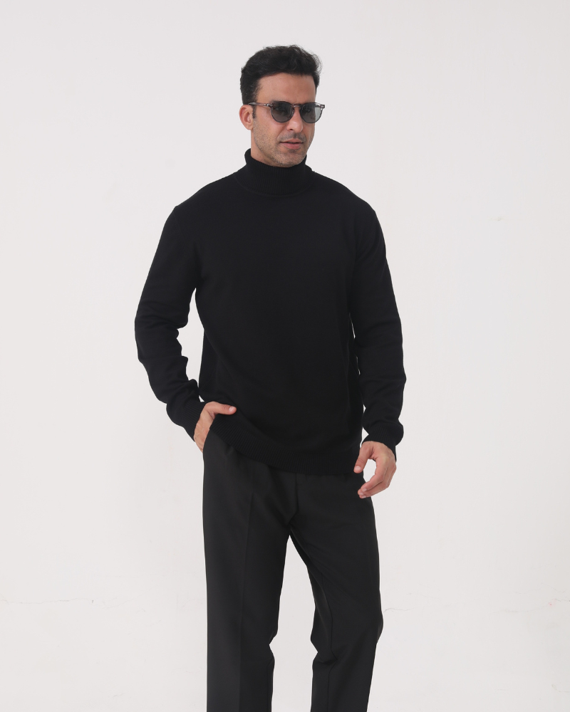 Sergio | Wool Turtle Neck