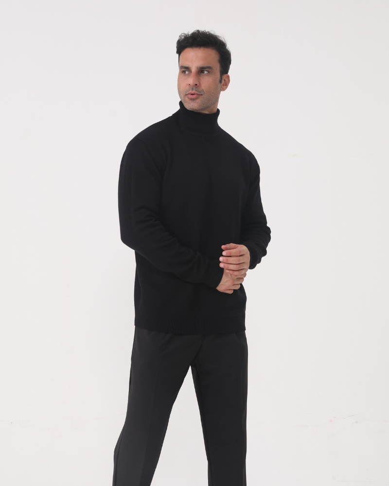 Sergio | Wool Turtle Neck
