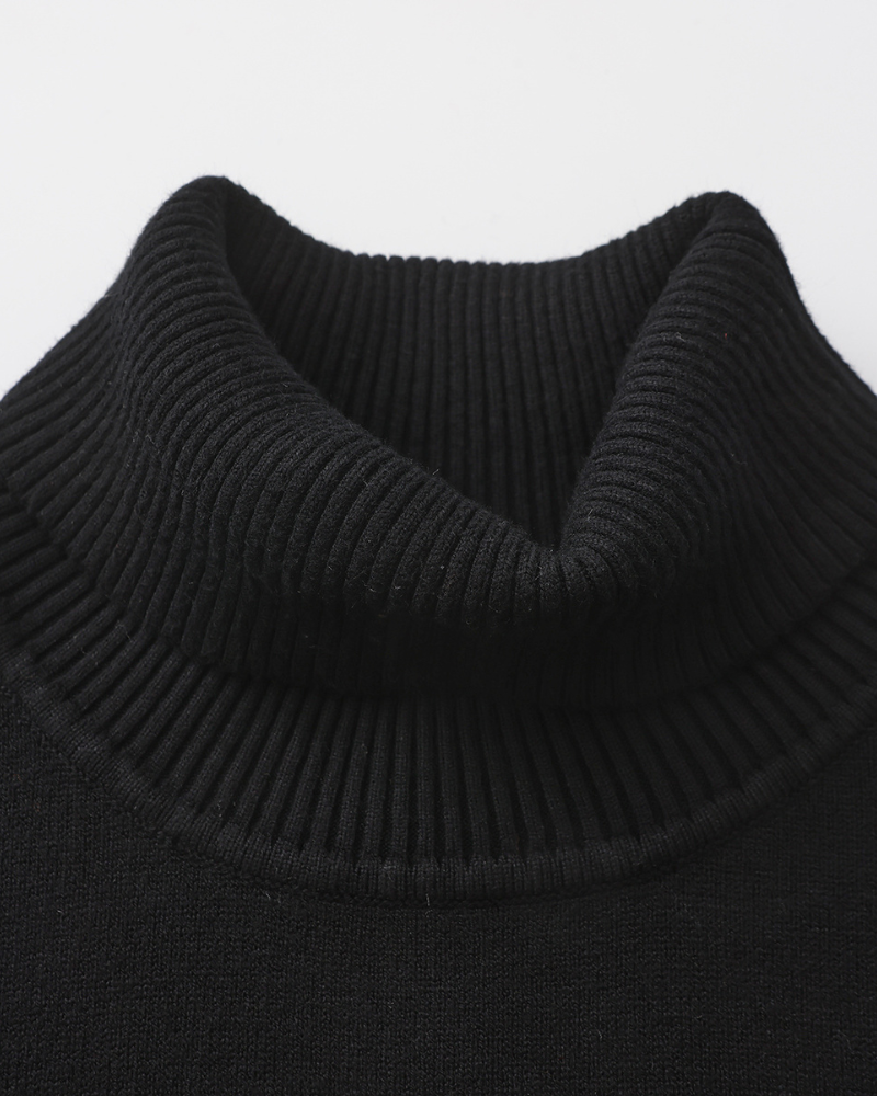 Sergio | Wool Turtle Neck